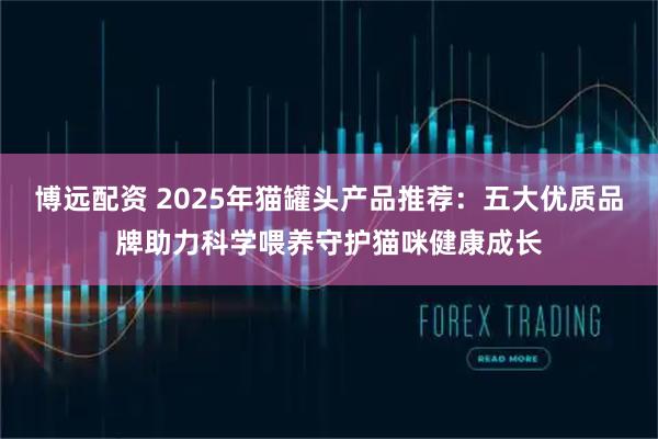博远配资 2025年猫罐头产品推荐：五大优质品牌助力科学喂养守护猫咪健康成长