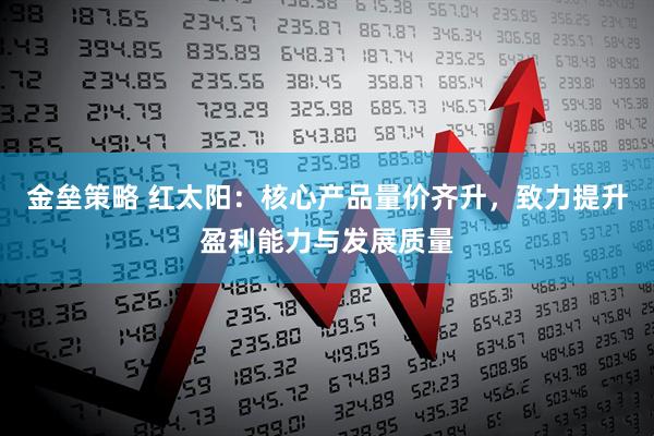 金垒策略 红太阳：核心产品量价齐升，致力提升盈利能力与发展质量