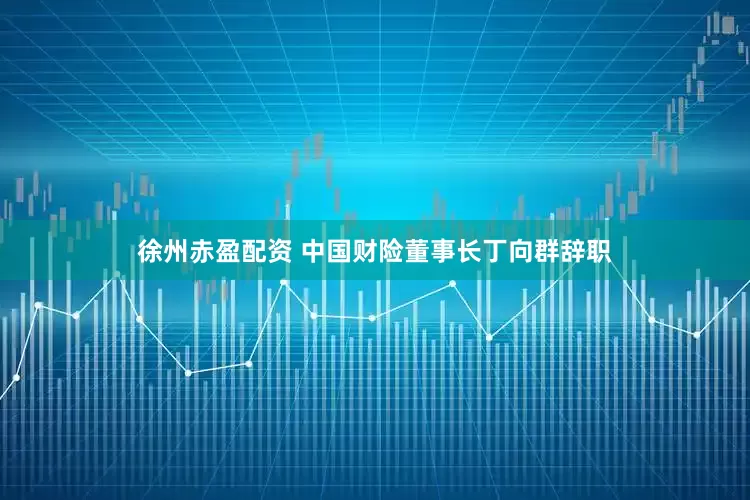徐州赤盈配资 中国财险董事长丁向群辞职